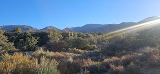 Nearwood Road, Juniper Hills, CA 93543