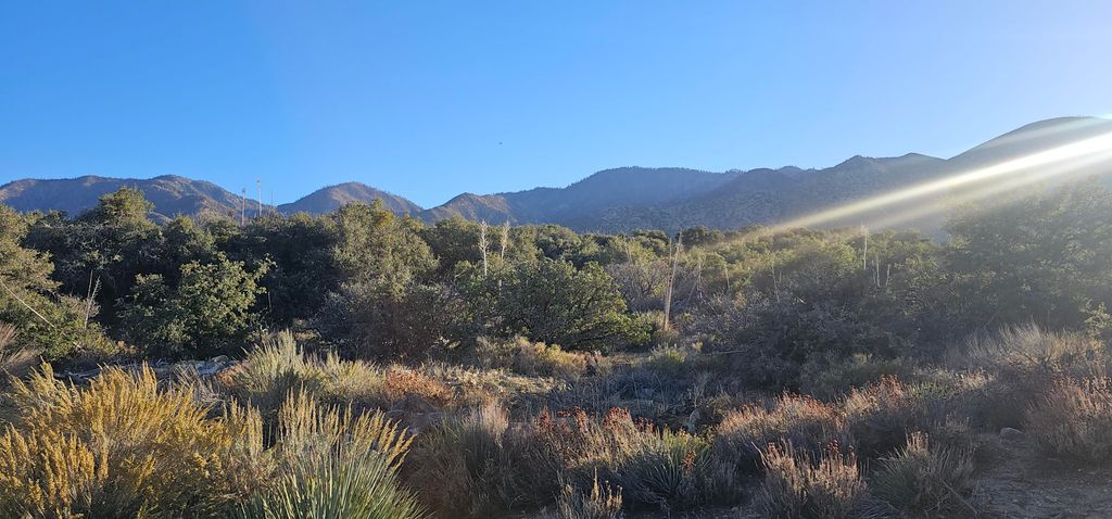 Nearwood Road, Juniper Hills, CA 93543