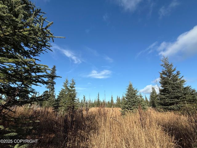 000 Tall Tree Avenue, Anchor Point, AK 99556