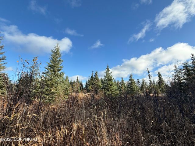 000 Tall Tree Avenue, Anchor Point, AK 99556
