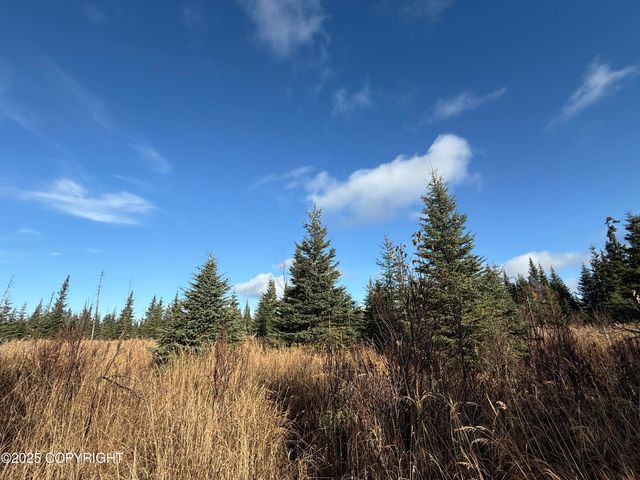 000 Tall Tree Avenue, Anchor Point, AK 99556