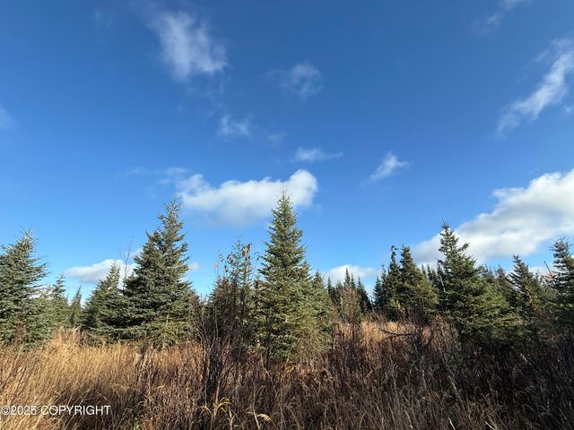 000 Tall Tree Avenue, Anchor Point, AK 99556