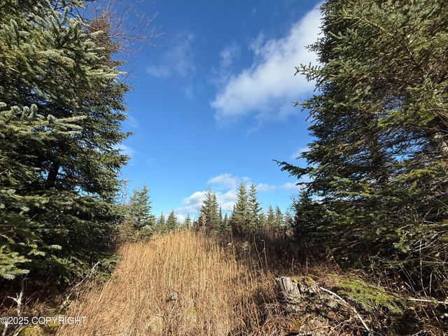 000 Tall Tree Avenue, Anchor Point, AK 99556