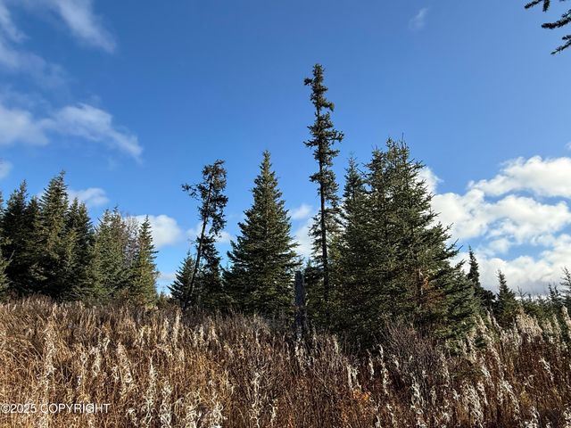 000 Tall Tree Avenue, Anchor Point, AK 99556