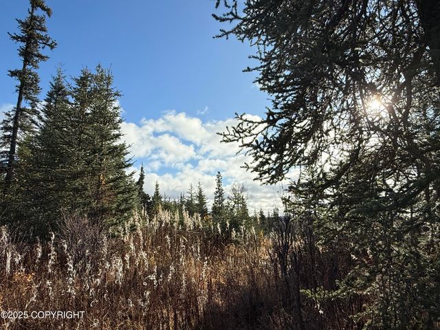 000 Tall Tree Avenue, Anchor Point, AK 99556