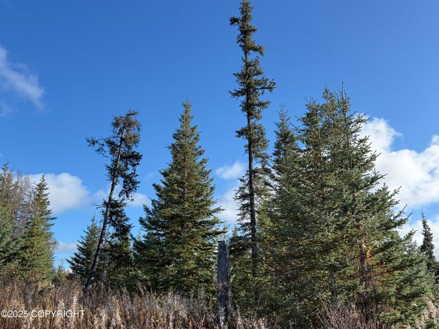 000 Tall Tree Avenue, Anchor Point, AK 99556