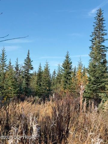 000 Tall Tree Avenue, Anchor Point, AK 99556