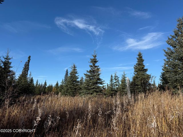 000 Tall Tree Avenue, Anchor Point, AK 99556