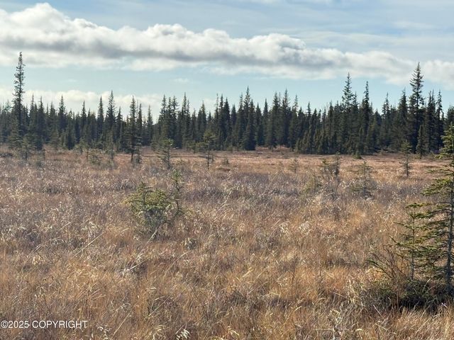 000 Tall Tree Avenue, Anchor Point, AK 99556