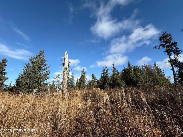 000 Tall Tree Avenue, Anchor Point, AK 99556