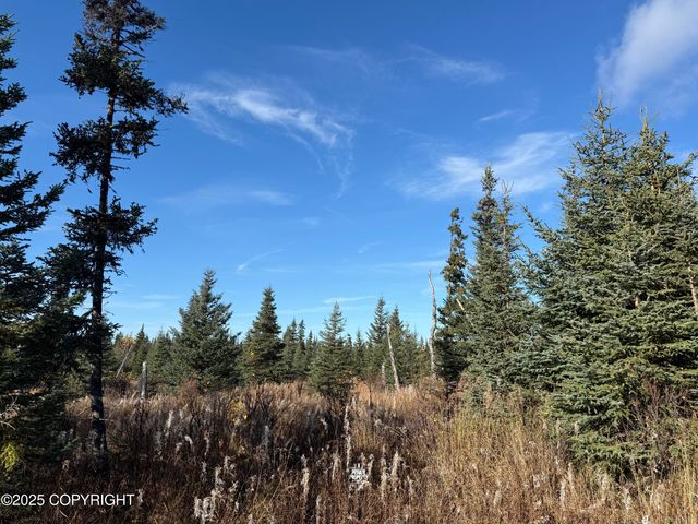 000 Tall Tree Avenue, Anchor Point, AK 99556