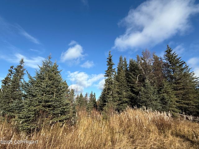 000 Tall Tree Avenue, Anchor Point, AK 99556