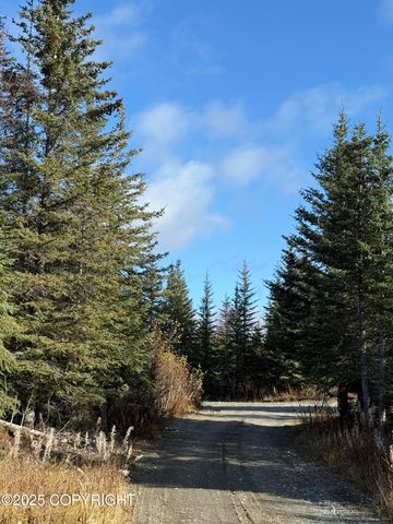 000 Tall Tree Avenue, Anchor Point, AK 99556