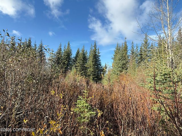 000 Tall Tree Avenue, Anchor Point, AK 99556