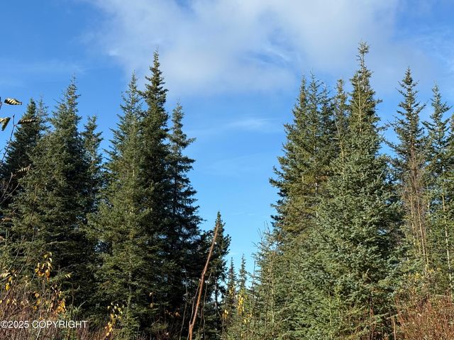 000 Tall Tree Avenue, Anchor Point, AK 99556