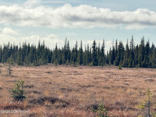 000 Tall Tree Avenue, Anchor Point, AK 99556