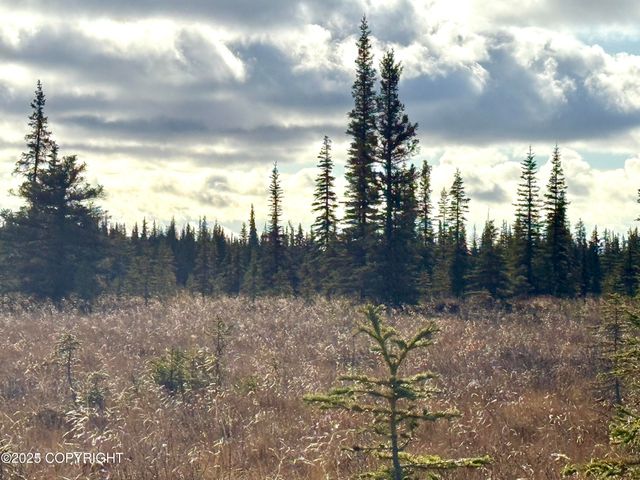 000 Tall Tree Avenue, Anchor Point, AK 99556