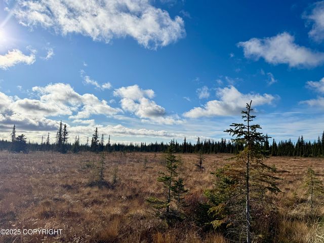000 Tall Tree Avenue, Anchor Point, AK 99556