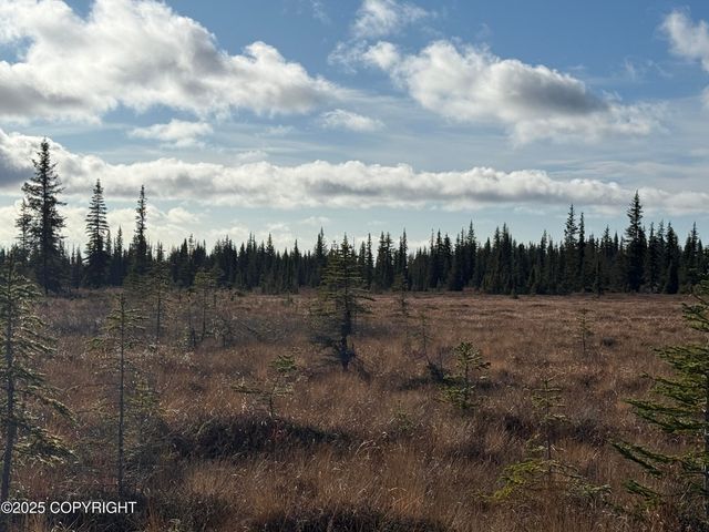 000 Tall Tree Avenue, Anchor Point, AK 99556