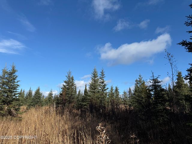 000 Tall Tree Avenue, Anchor Point, AK 99556