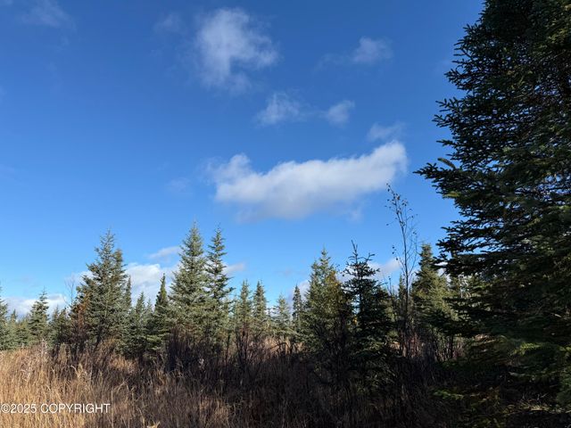 000 Tall Tree Avenue, Anchor Point, AK 99556