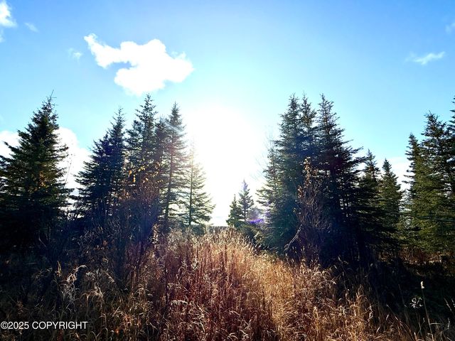 000 Tall Tree Avenue, Anchor Point, AK 99556