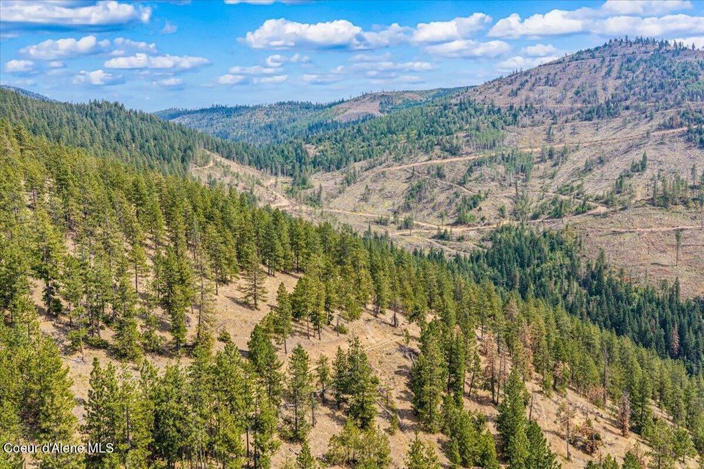 NKA S Idaho Rd, Post Falls, ID 83854 photo 3