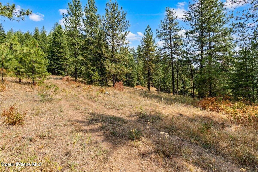 NKA S Idaho Rd, Post Falls, ID 83854 photo 5