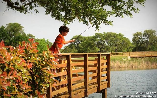 101 Eli Chandler, Blanco, TX 78606