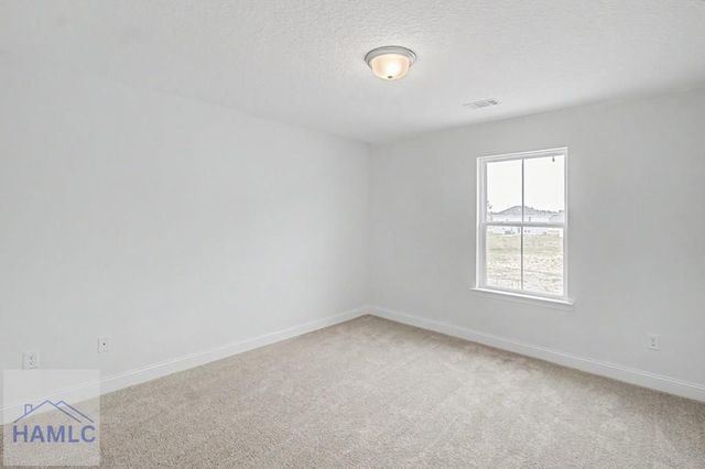 76 St Johns Court, Ludowici, GA 31316