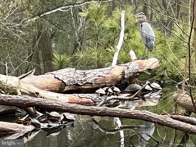 8581 N LONGBOAT WAY, Berlin, MD 21811