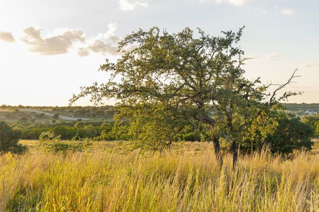 Lot 68 W Leaning Madrone DR, Johnson City, TX 78636