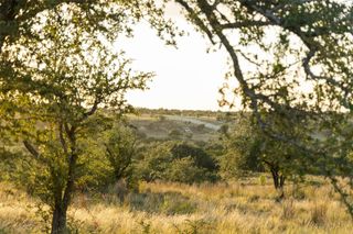 Lot 68 W Leaning Madrone DR, Johnson City, TX 78636