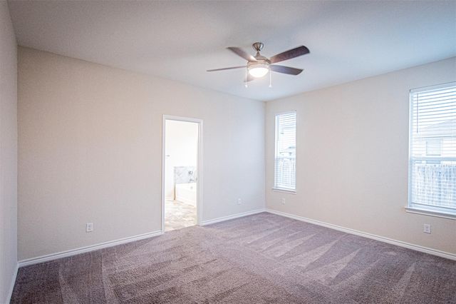 310 Indian Wheat, New Braunfels, TX 78130