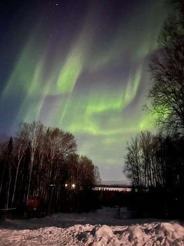 710 BIRCH KNOLL ROAD, Fairbanks, AK 99712