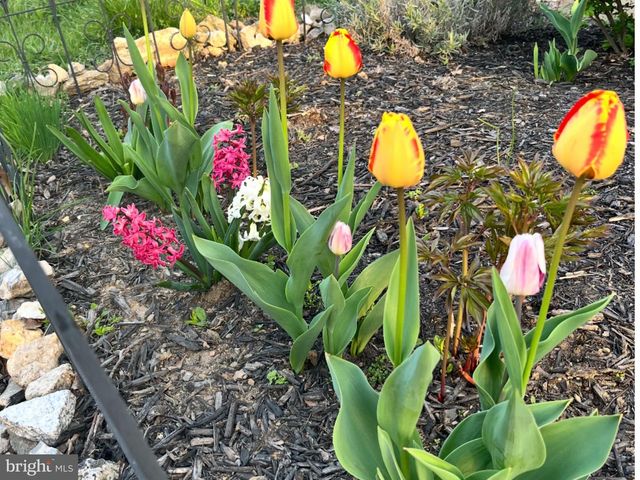 1626 CONLYN ST, Philadelphia, PA 19141