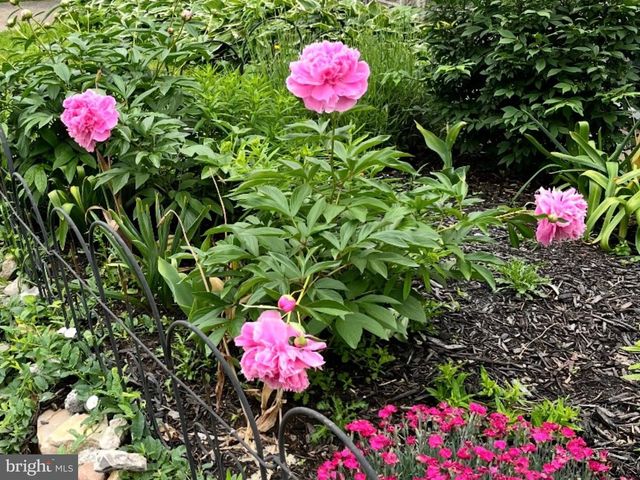 1626 CONLYN ST, Philadelphia, PA 19141