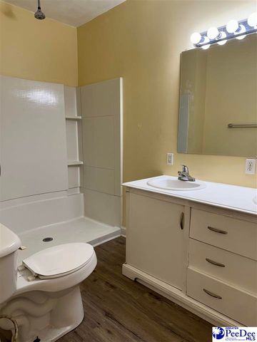 306 Godbold St, Marion, SC 29571