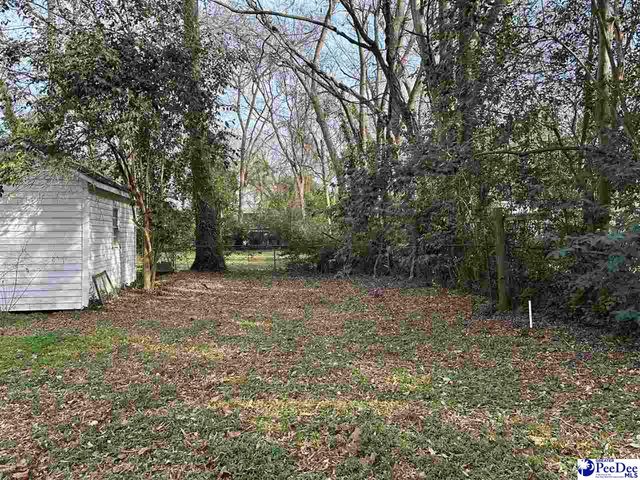 306 Godbold St, Marion, SC 29571