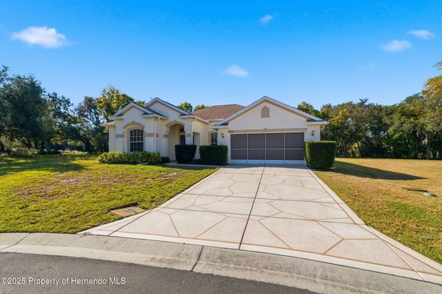 11201 Valley Stream Ct Court, Spring Hill, FL 34609