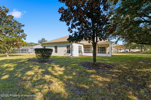 11201 Valley Stream Ct Court, Spring Hill, FL 34609