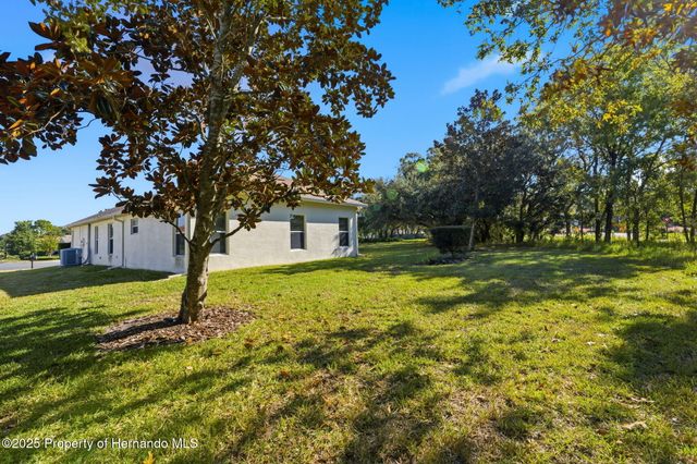 11201 Valley Stream Ct Court, Spring Hill, FL 34609