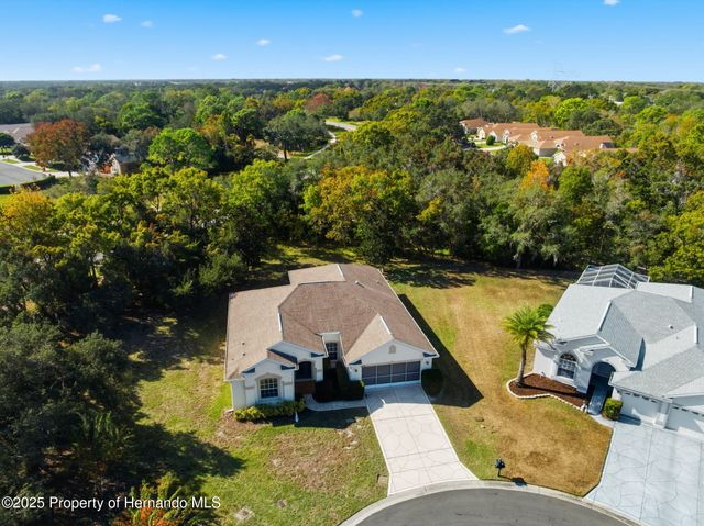 11201 Valley Stream Ct Court, Spring Hill, FL 34609