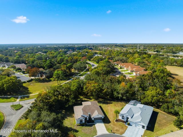 11201 Valley Stream Ct Court, Spring Hill, FL 34609