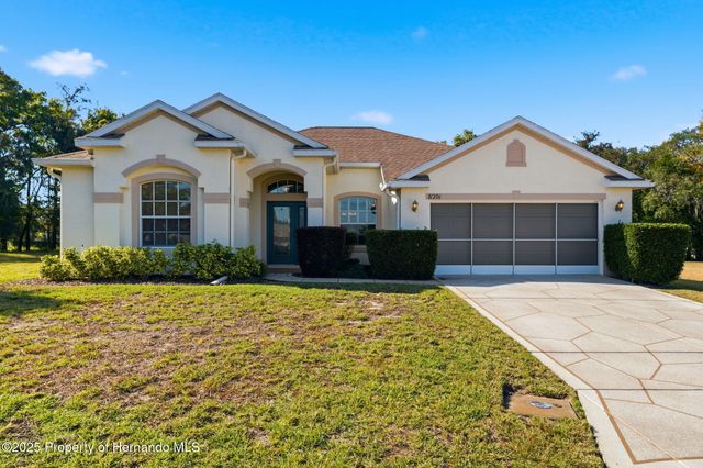 11201 Valley Stream Ct Court, Spring Hill, FL 34609