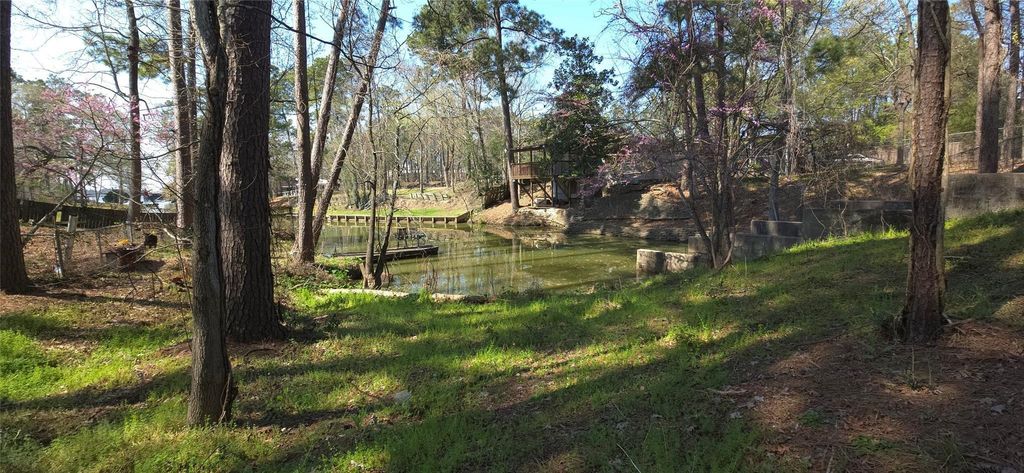 0 Big Deer Drive, Houston, TX 77532