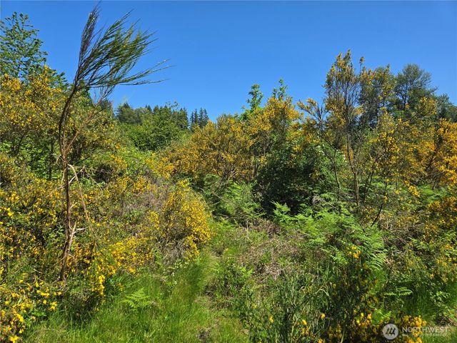 212 XX SE 214th Street, Maple Valley, WA 98038