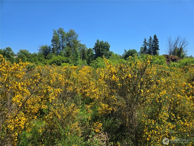 212 XX SE 214th Street, Maple Valley, WA 98038