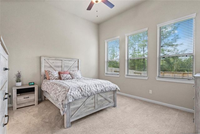 112 Sugar Peak Court, Montgomery, TX 77316