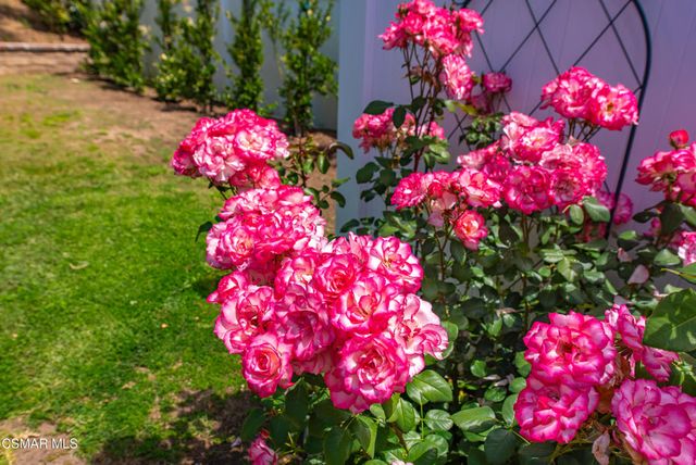 6547 Pinion Street, Oak Park, CA 91377